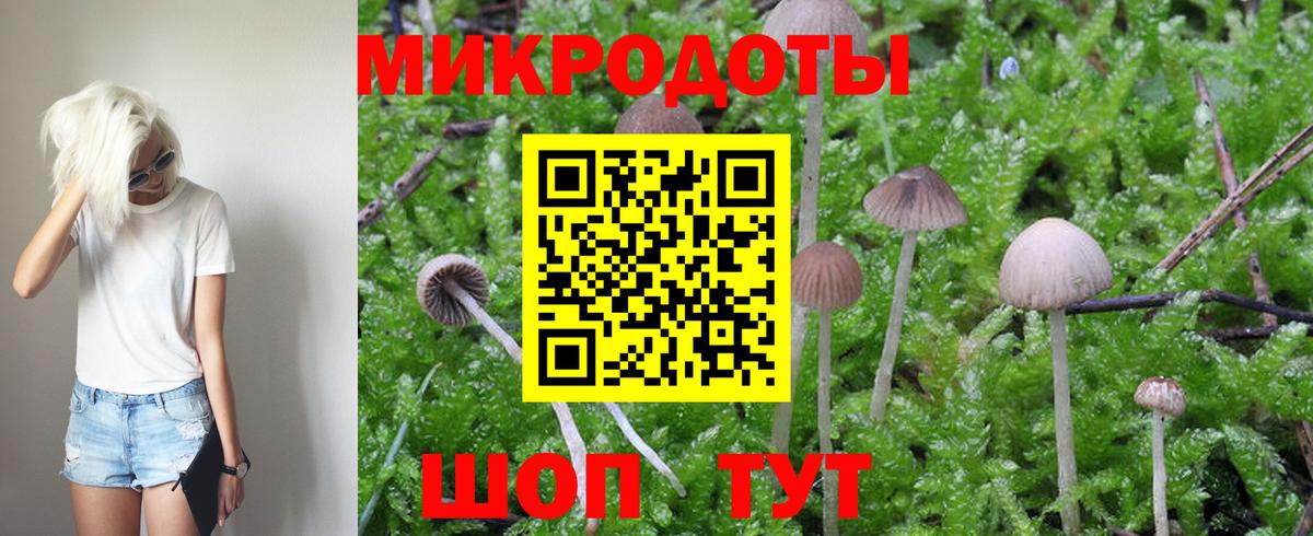 Севастополь  Псилоцибиновые грибы ЛСД  Вход с VPN 