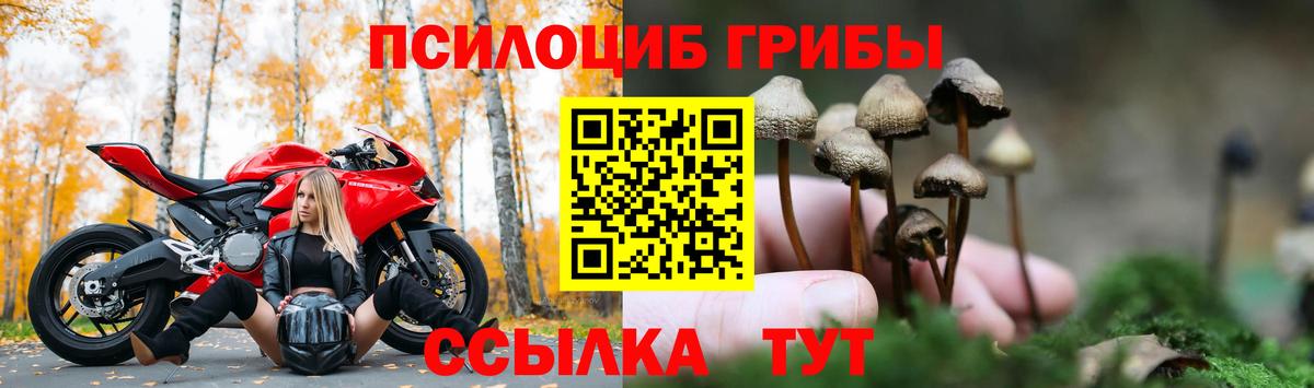 Псилоцибиновые грибы MAGIC MUSHROOMS Севастополь